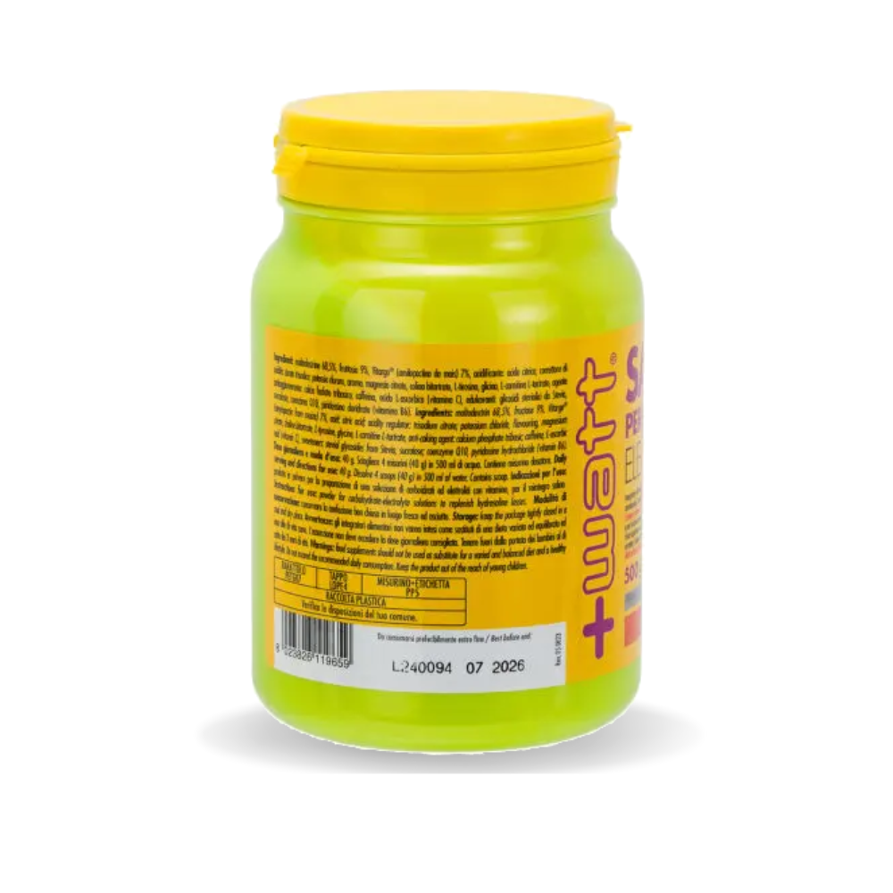 SALI+ PERFORMANCE ELECTROLYTE IDROSALINI (500G)