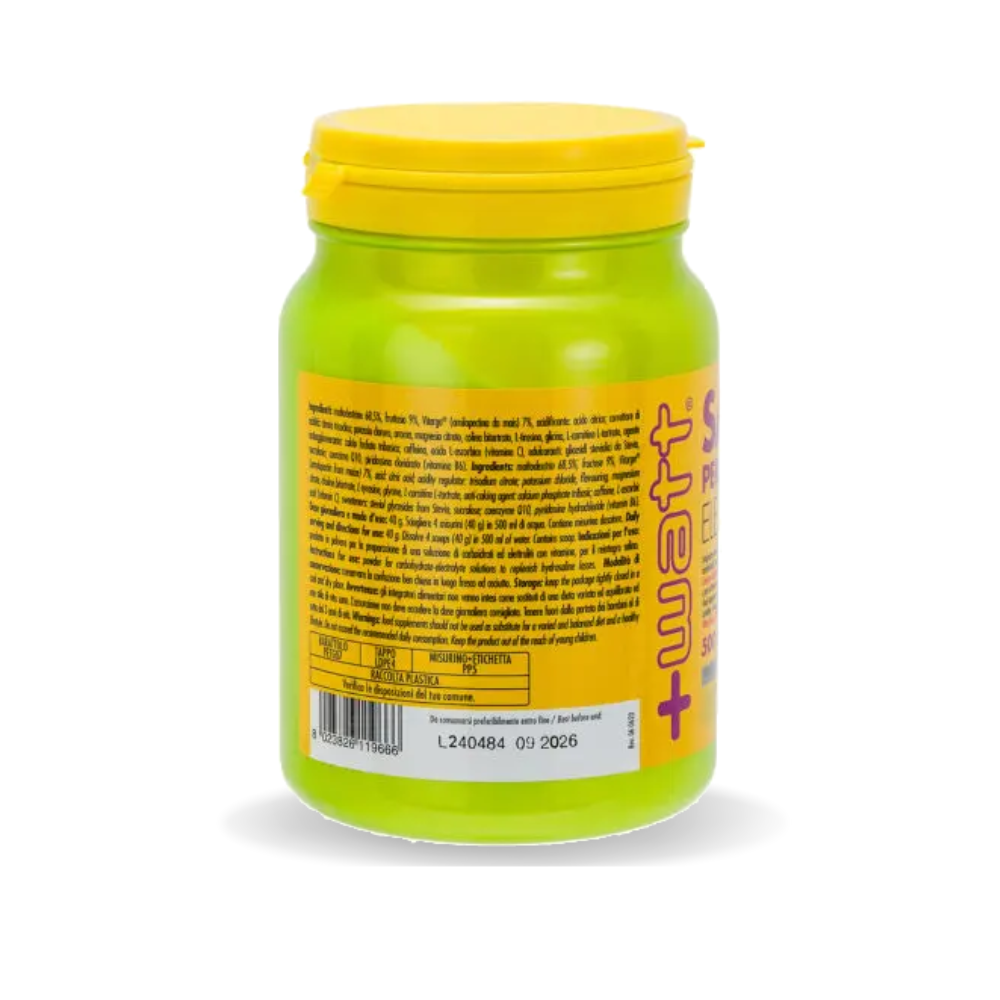 SALI+ PERFORMANCE ELECTROLYTE IDROSALINI (500G)