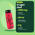 Guarana Kick 2000 Shot 12x80 ml (IT)
